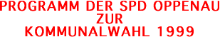 Programm zur Kommunalwahl 1999
